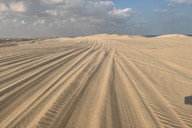 Doha : Night Desert Safari | Transit Safari | Camel ride | Dune Bashing - Price and value: is $59 per person a smart deal?