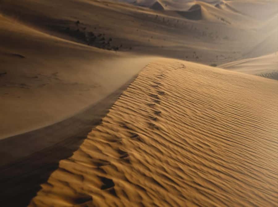 Doha: Nighttime Desert Safari with Dune Bashing & Camel Ride - The 4x4 Drive: AC Comfort Meets Serious Sand Roads
