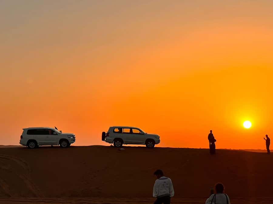 Doha: Nighttime Desert Safari with Dune Bashing & Camel Ride - Sealine Beach Resort Stop: First Photo Break, First Bashing, Camel Time