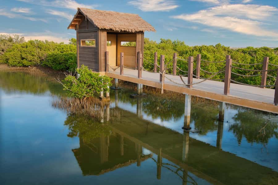 Doha North Qatar Tour Zubara Fort, Mangroves, Jumail Village - Key things to know before you go