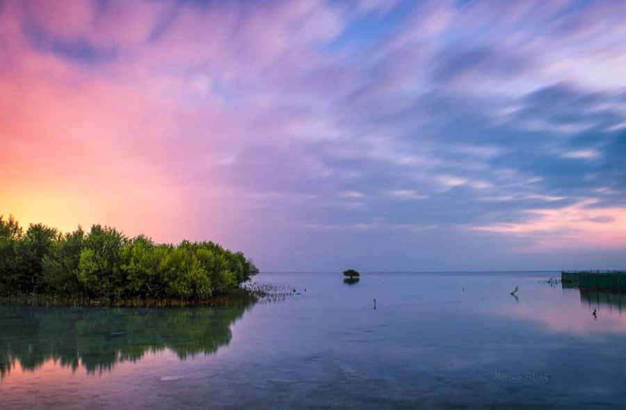 Doha North Qatar Tour Zubara Fort, Mangroves, Jumail Village - How this North Qatar route fits into a 270-minute day
