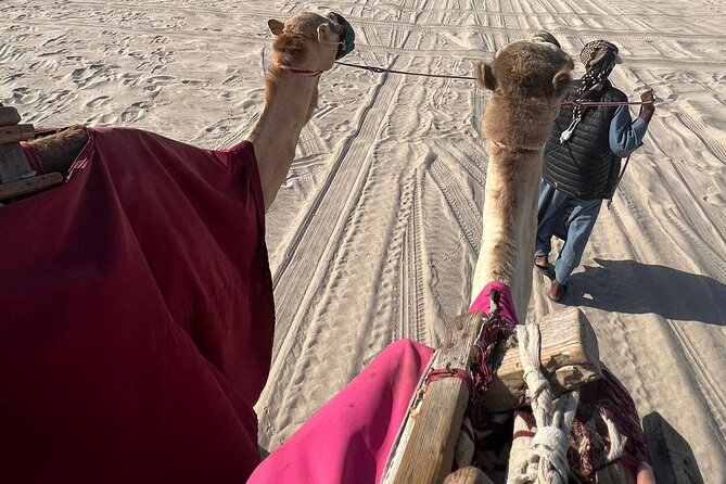 Doha Qatar ATV Quad Bike Buggy Dune Bashing and Camel Ride - The people part: guides that make or break the experience