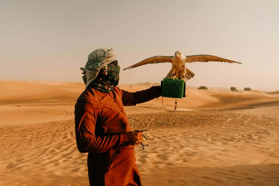 Doha: Quad Bike, Dune Bashing, Camel Ride & Inland Sea Tour - Quick hits before you go