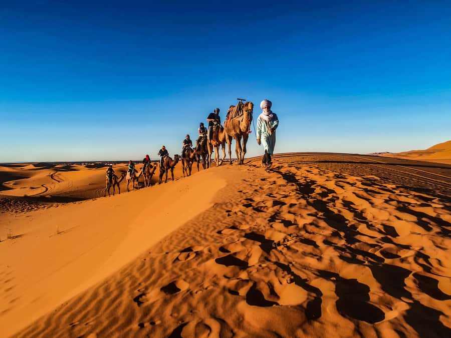 Doha: Quad Bike, Dune Bashing, Camel Ride & Inland Sea Tour - What to bring (and what to leave out)