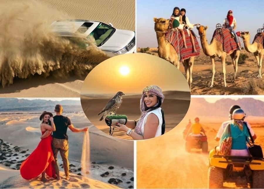Doha: Safari, Camel Ride, Sandboarding and Inland Sea Tour - Key highlights you’ll actually use
