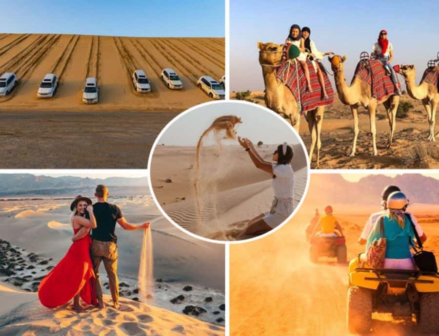 Doha: Safari, Camel Ride, Sandboarding and Inland Sea Tour - Who This Tour Fits Best (and When You Might Pass)