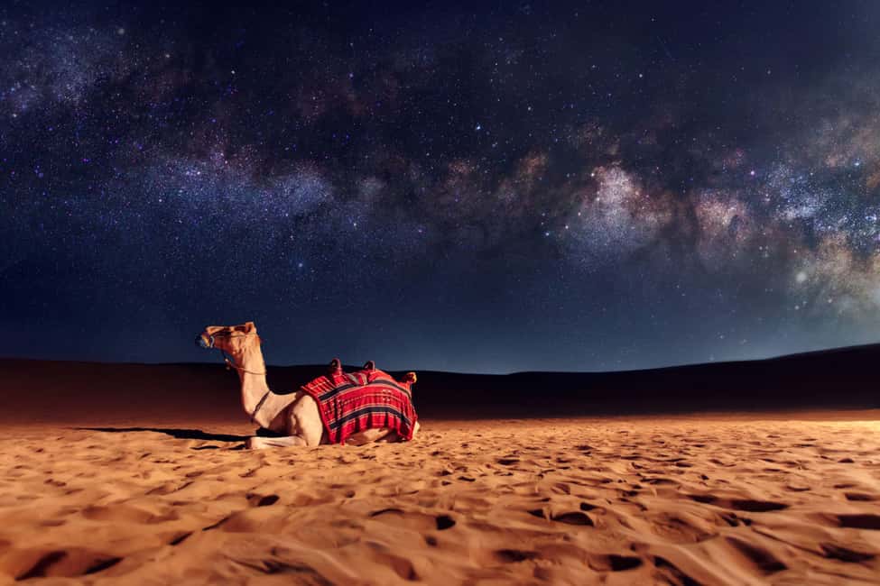 Doha: Sunset Desert Safari, ATV, Camel Ride and Sandboarding - First Stop: The Sunset Safari Feeling Starts Before the Sand