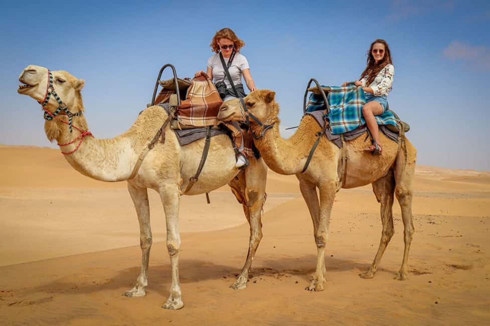 Doha: Sunset Desert Safari, ATV, Camel Ride and Sandboarding - Sandboarding: Where You Feel the Speed and the Sand