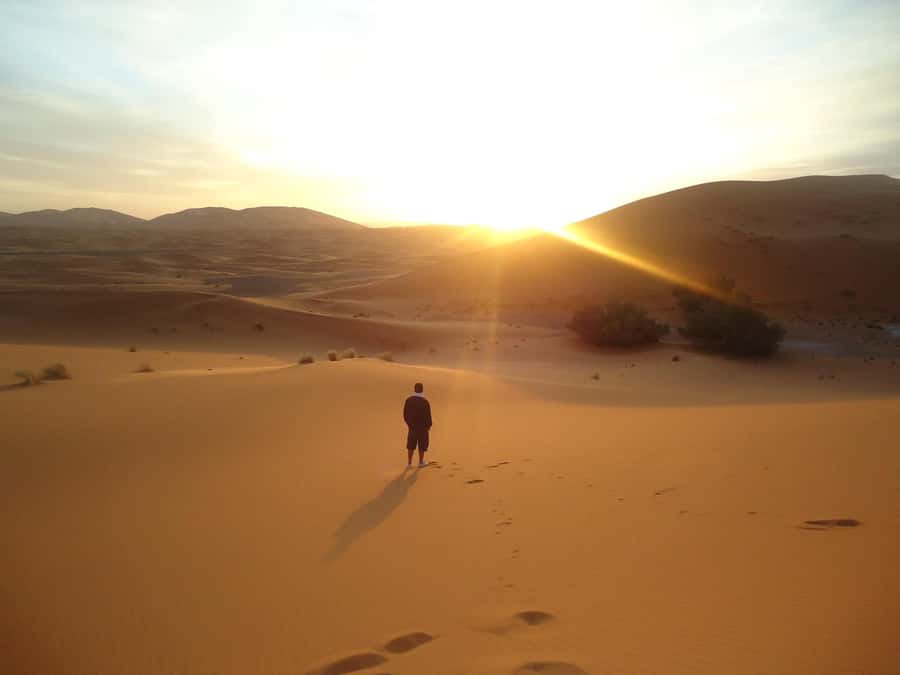 Doha:Sunrise or Sunset Desert Safari Tour with Sand Boarding - Why the Inland Sea view is worth building your evening (or morning) around