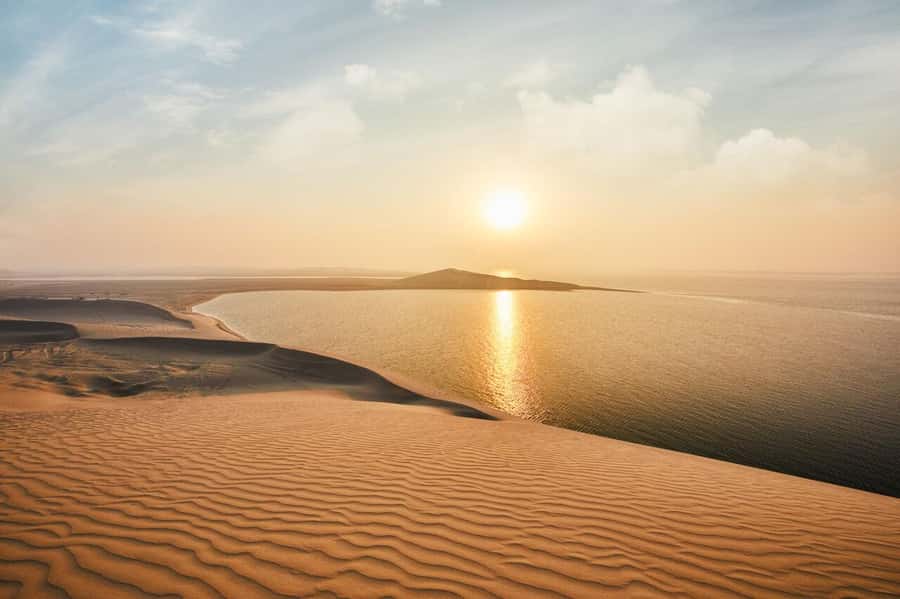 Doha:Sunrise or Sunset Desert Safari Tour with Sand Boarding - 4x4 dune bashing: thrill, rhythm, and staying comfortable