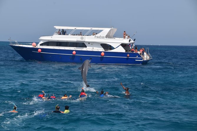 Dolphin House and Banana Boat Fun from Hurghada - Key takeaways before you go