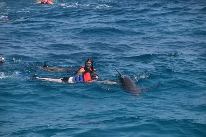 Dolphin House and Banana Boat Fun from Hurghada - Dolphin House near Hurghada: why this stop matters