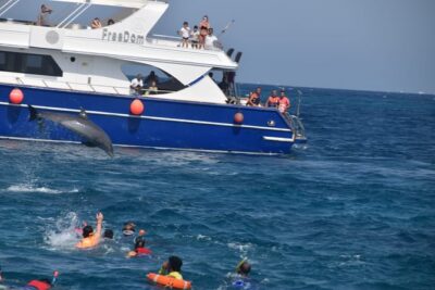 Dolphin House and Banana Boat Fun from Hurghada - Snorkeling around Hurghada’s reefs: what you’ll actually see
