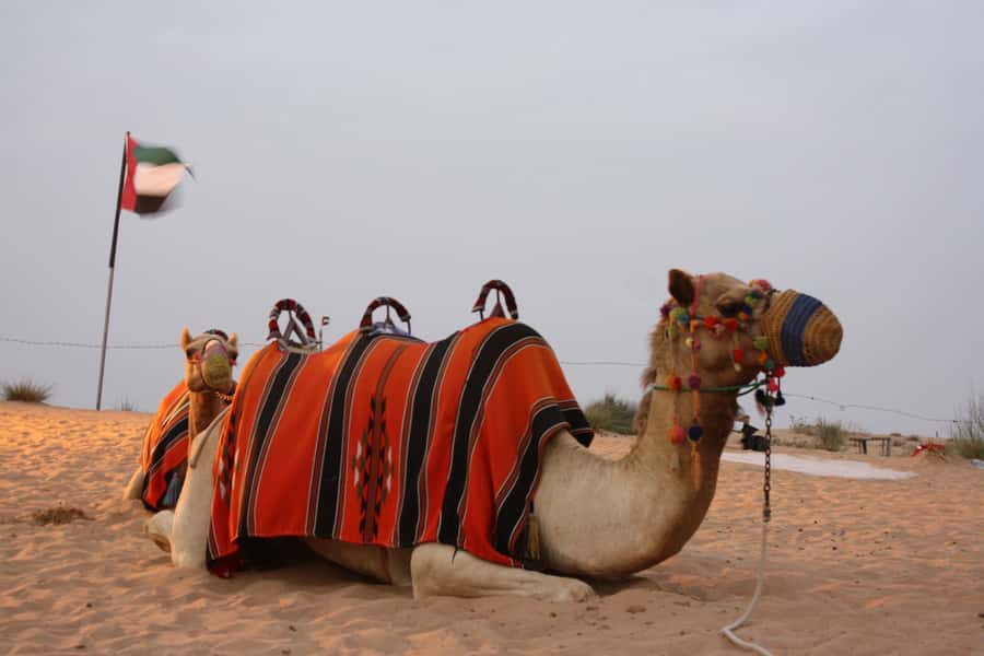 Dubai 4WD Evening Desert Safari - Key highlights you’ll care about