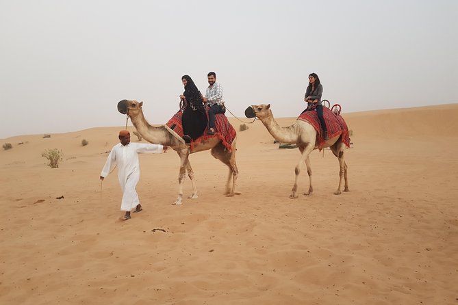 Dubai 4x4 Desert Safari, Quad Bike, Camel Ride & BBQ Dinner - Sunset Photo Stop, Camel Ride, and Desert Treats