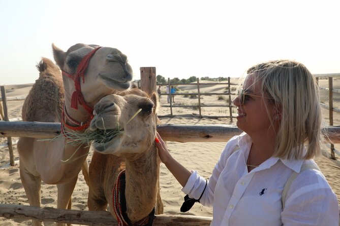 Dubai: Al Marmoom Oasis Vintage Safari: Camels, Stargazing & Meal - First stop: riding into Al Marmoom in a vintage Mercedes