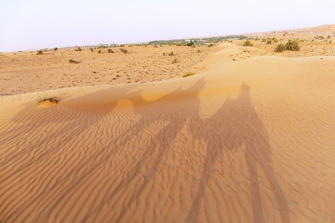 Dubai Camel Desert Safari, Traditional Meal & Heritage Activities - Dubai Desert Safari: How This One Feels Different From the Usual