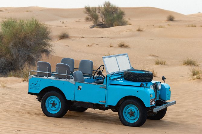 Dubai Camel Desert Safari, Traditional Meal & Heritage Activities - Stop 3: Platinum Heritage Desert Camp and the 45-Minute Camel Caravan