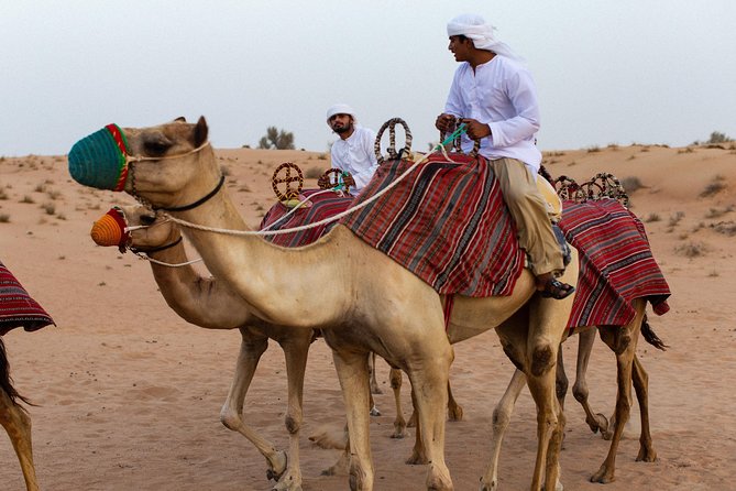 Dubai Camel Desert Safari, Traditional Meal & Heritage Activities - Guides and Service: What Makes the Small-Group Style Work