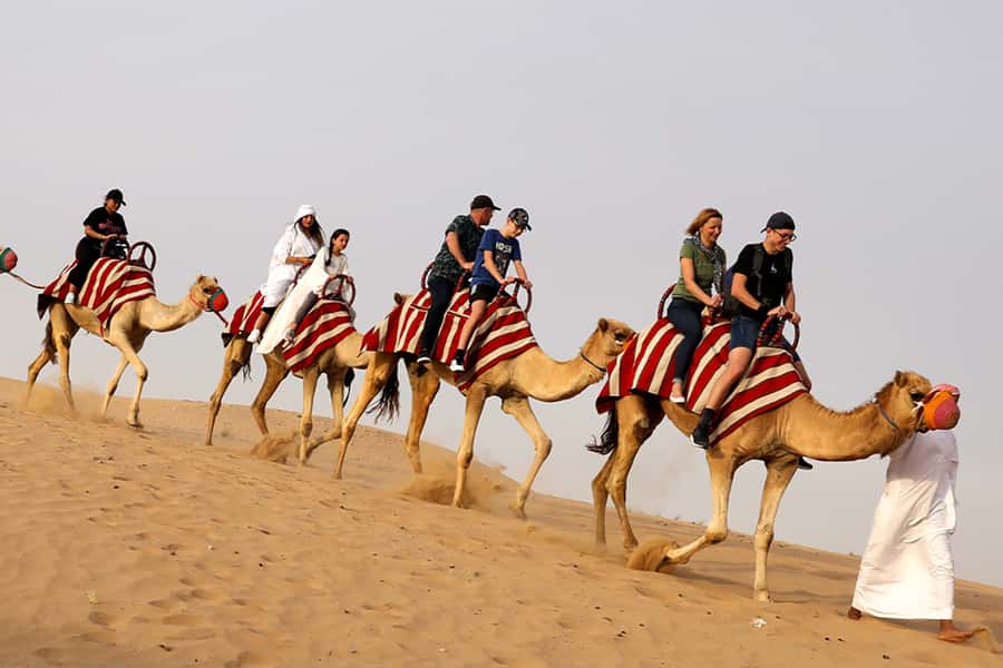 Dubai City Tour and Evening Desert Safari Combo - FAQ