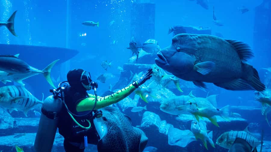 Dubai: City Tour with Iconic Attractions Tickets - Alserkal Avenue: the creative side of Dubai