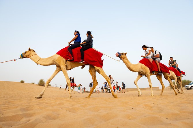Dubai Combo:City Tour and Premium Desert Safari with all Activities - Key things to know before you go