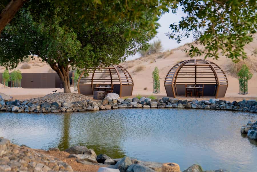 Dubai: Conservation Drive & Platinum Breakfast - Should you book the Conservation Drive & Platinum Breakfast?