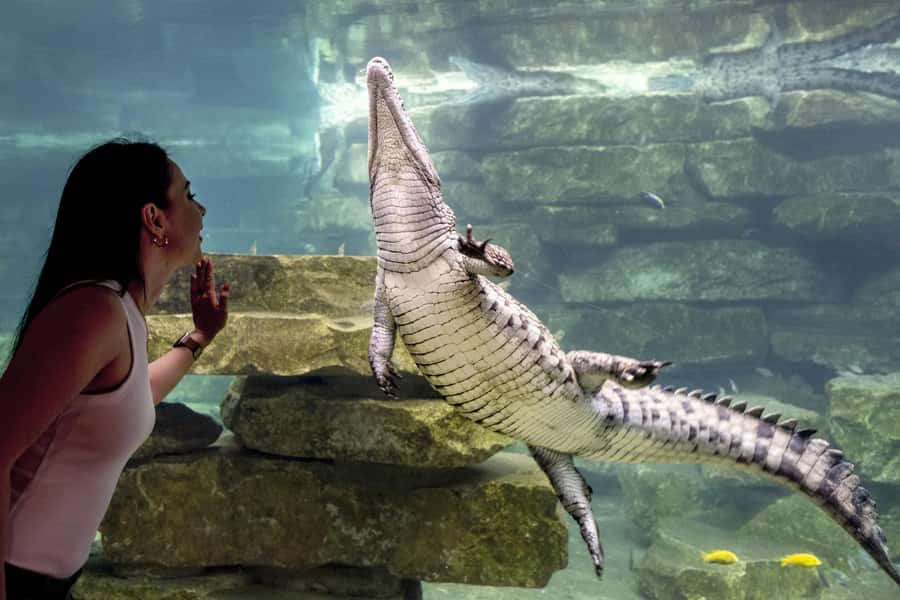 Dubai Crocodile Park Ticket - Natural History Museum: Evolution Lessons That Aren’t Boring