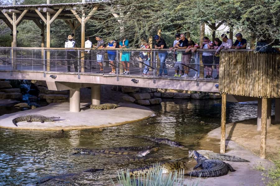 Dubai Crocodile Park Ticket - Practicalities: Tickets, Food, and Planning Your Day