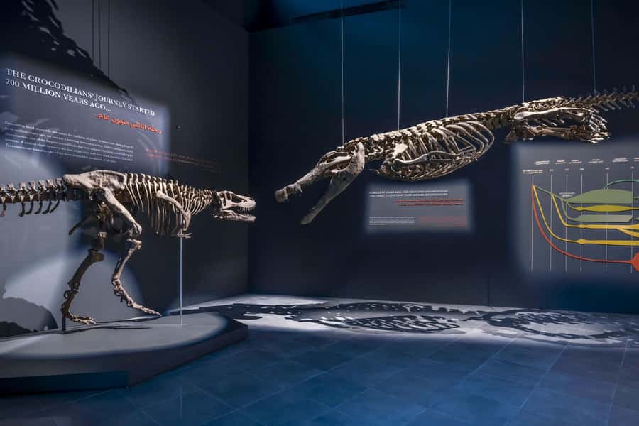 Dubai Crocodile Park Ticket - Entering the Park: Habitat Design and Why It Matters