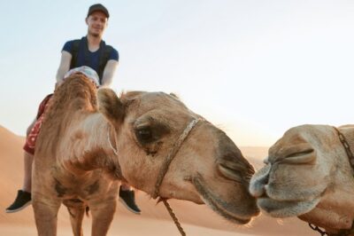 Dubai Desert Bespoke: Red Dunes Safari, Camel Ride & BBQ Options - Getting from your hotel to the dunes without the headache