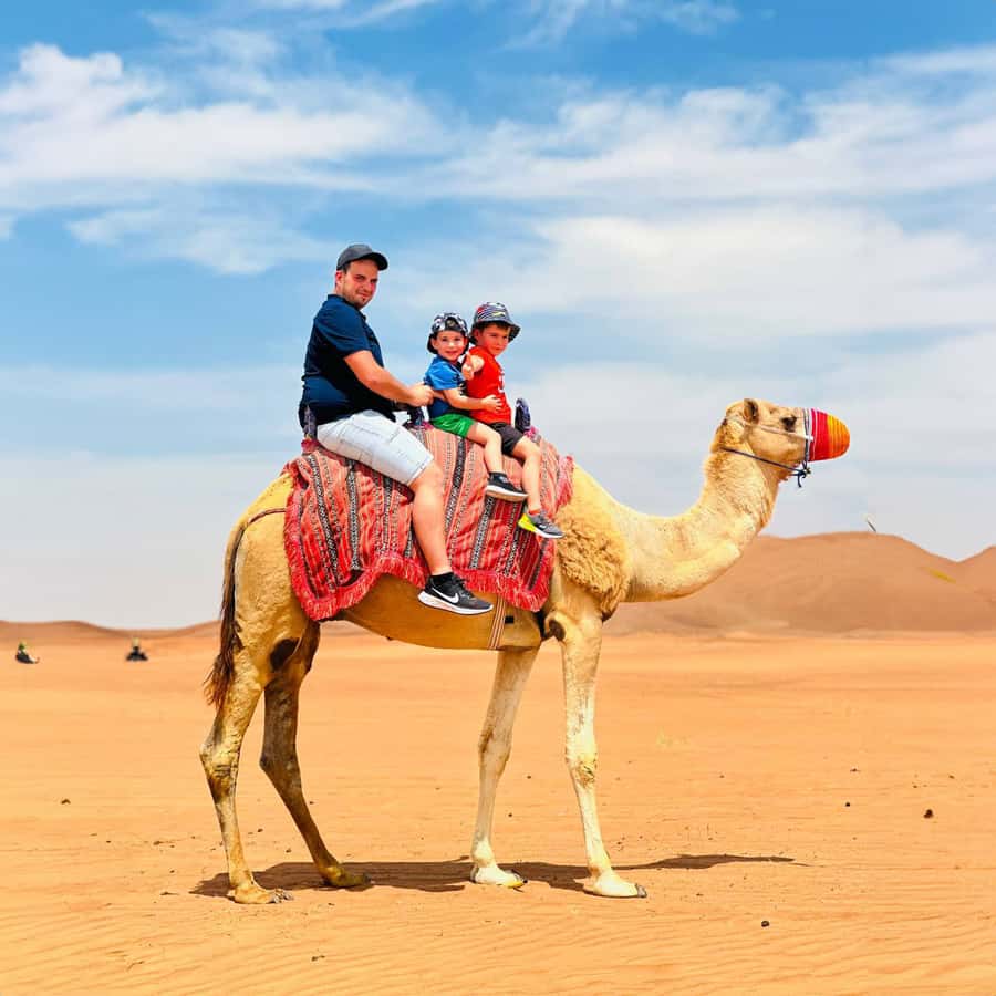Dubai: Desert Camel Ride with Live Shows & BBQ Buffet Dinner - Price and value: is $110 a fair deal?
