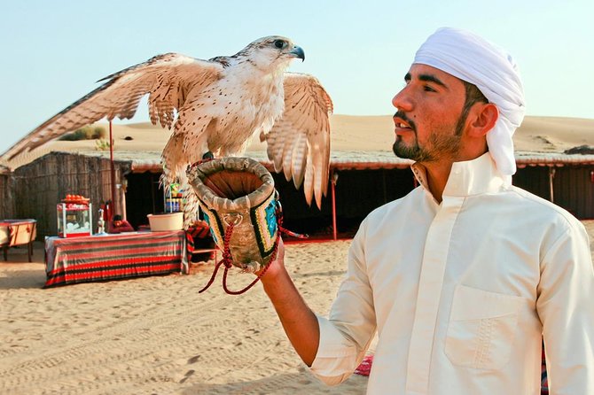 Dubai Desert Journey: Red Dunes Safari with BBQ in Bedouin Camp - BBQ buffet dinner: what’s included and what to expect from the meal