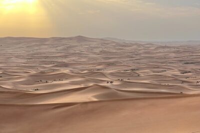 Dubai Desert Safari, Camel, Live BBQ & Shows (Private 4x4 Car) - Getting picked up in Dubai City Limits and heading toward Al Madam