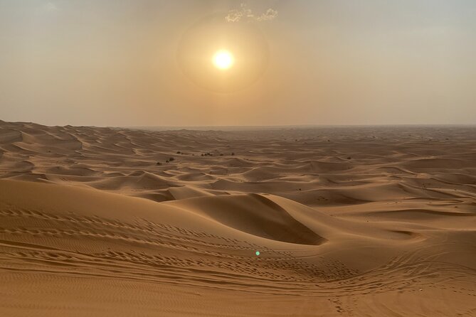 Dubai Desert Safari, Camel, Live BBQ & Shows (Private 4x4 Car) - Guide quality makes or breaks the experience