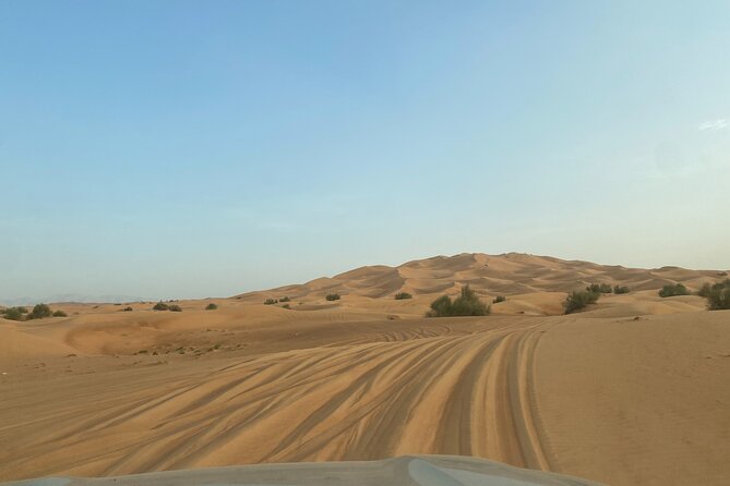 Dubai Desert Safari, Camel, Live BBQ & Shows (Private 4x4 Car) - Price and value: what $277.71 really means for your group