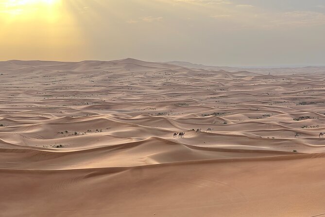 Dubai Desert Safari, Camel, Live BBQ & Shows (Private 4x4 Car) - Getting picked up in Dubai City Limits and heading toward Al Madam