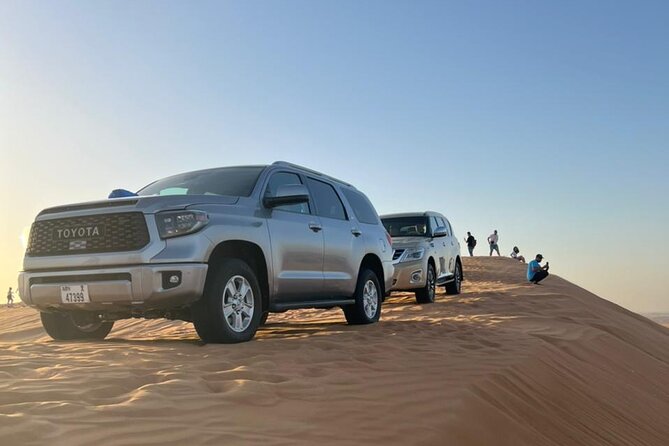Dubai Desert Safari, Camel Ride, Shisha, Henna, Live BBQ & Shows - Who should book this safari, and who should rethink it