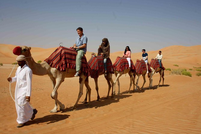 Dubai: Desert Safari, Camel Ride, Show & Optional Dinner - Price and value: is $43.75 a bargain or a trap?