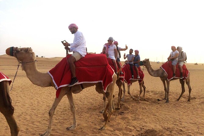 Dubai: Desert Safari, Camel Ride, Show & Optional Dinner - The camp: Bedouin-style activities, camel time, and falcon moments