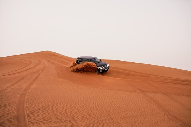 Dubai Desert Safari: Experience the Best of the Arabian Desert - Who This Safari Suits Best (And Who Should Think Ahead)