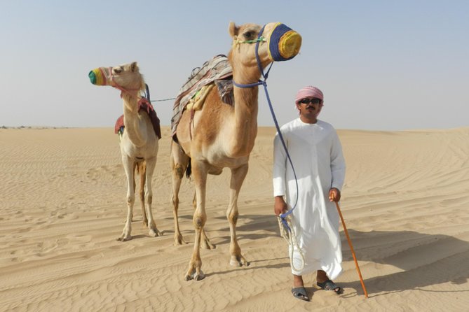 Dubai Desert Safari with BBQ, 3 Shows & Camel Ride at Majlis Camp - Sandboarding and Quad Bike Upgrade: Choose Your Level of Chaos