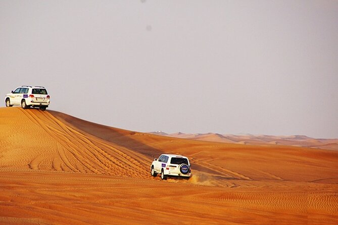 Dubai Desert Safari with BBQ, 3 Shows & Camel Ride at Majlis Camp - Value for the Price: Why a $37-Per-Person Safari Can Feel Like a Deal