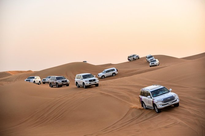 Dubai Desert Safari with BBQ And 4W Land Cruiser Dune Bashing Experience - Camel Ride and Sandboarding: Choose the Activity You’ll Care About Most