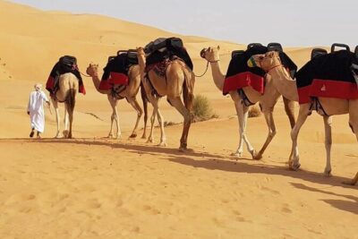 Dubai Desert Safari with Dune Bashing, Camel Ride, & BBQ Dinner - Camel Ride and Sandboarding: Culture Slower, Speedy Fun