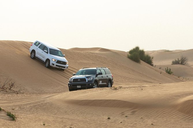 Dubai Desert Safari with Quads, BBQ Dinner, Camel ride, & Shows - Value for $70: What You Get in a 6-Hour Desert Night