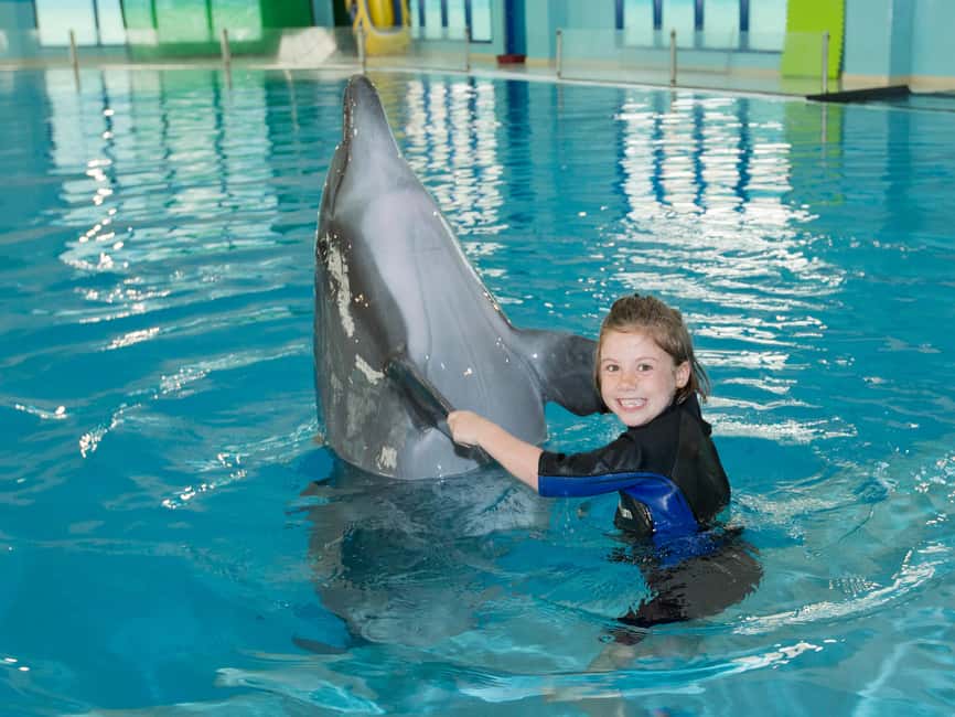 Dubai: Dubai Dolphinarium Dolphin, Seal & Bird Show Tickets - Exotic Bird Show: sun conures, toucans, falcons, and fast pacing