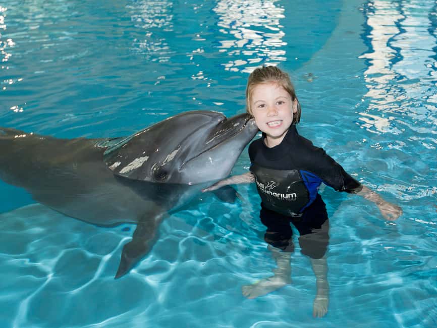 Dubai: Dubai Dolphinarium Dolphin, Seal & Bird Show Tickets - How long to plan, and how to keep your day from slipping