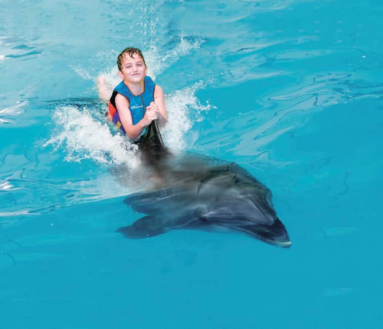Dubai: Dubai Dolphinarium Dolphin, Seal & Bird Show Tickets - Who should book this (and who might skip the bird segment)