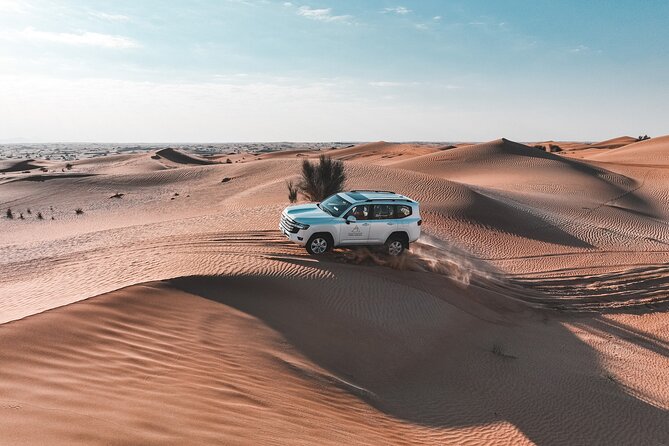 Dubai Evening Desert Safari: Sandboarding, BBQ, Camel Ride & more - Dinner under the stars: 3-course buffet BBQ with unlimited soft drinks
